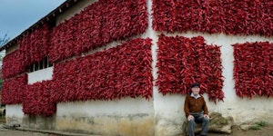 Dried-pepper production near Leskovac, Serbia