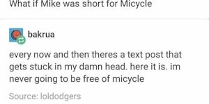Micyles