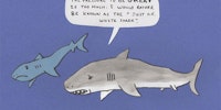 Happy Shark Week!