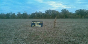 Corn maze for blondes.